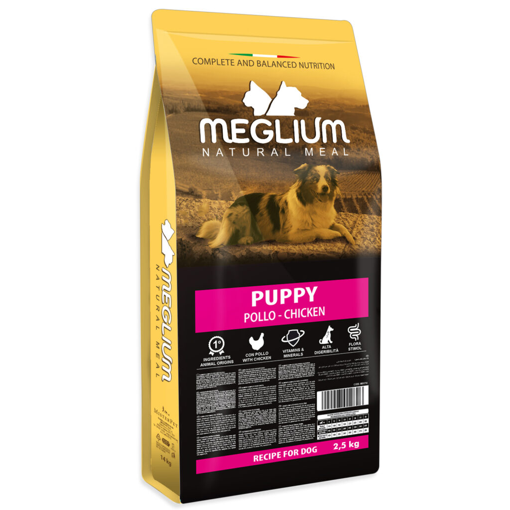 Meglium dog Puppy Pollo
