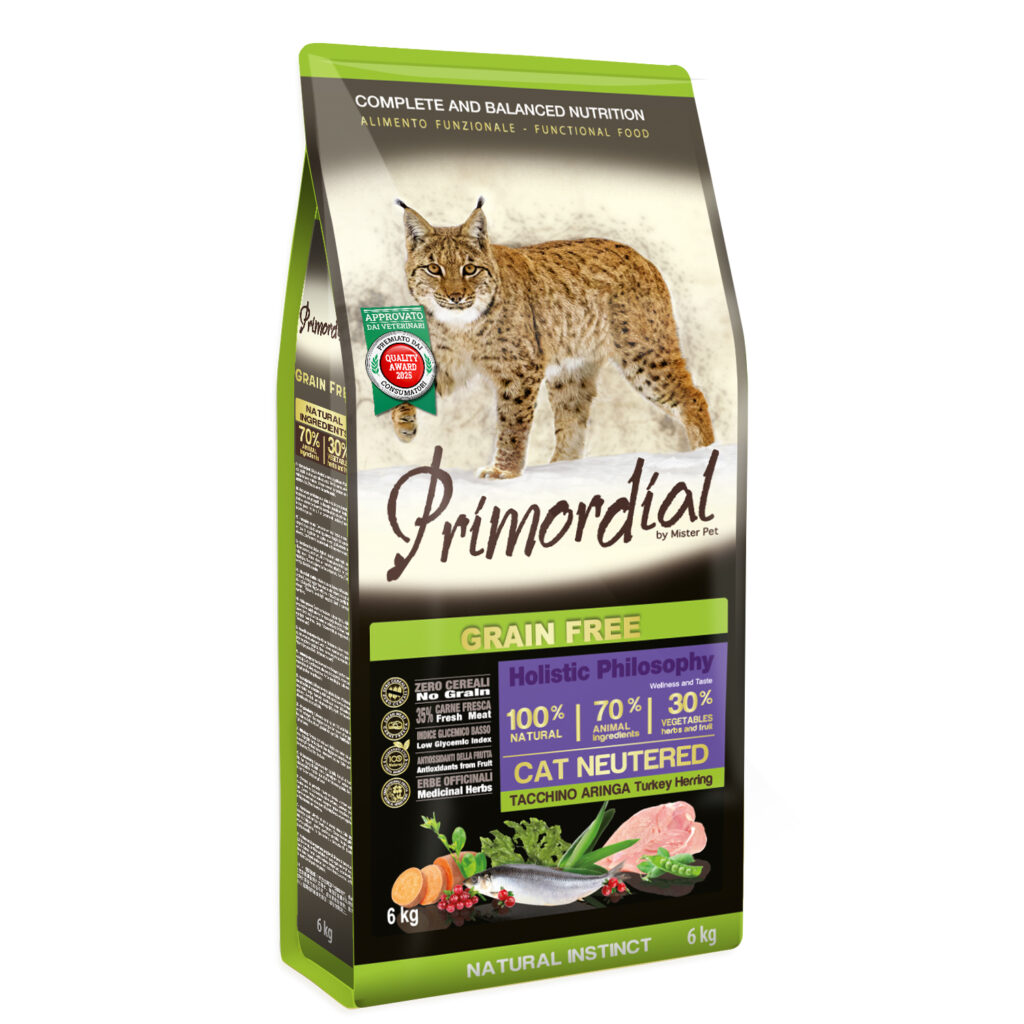 Primordial cat Neutered
